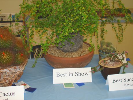 best-in-show-2012-2