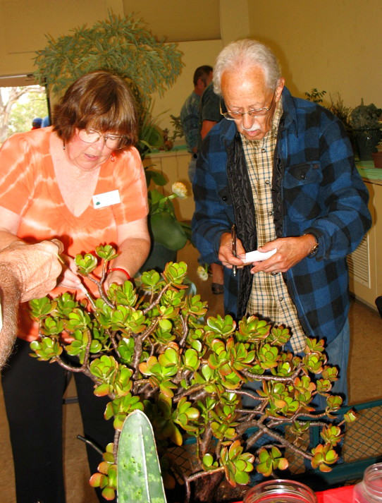 annie-and-mitch-prepping-the-plants